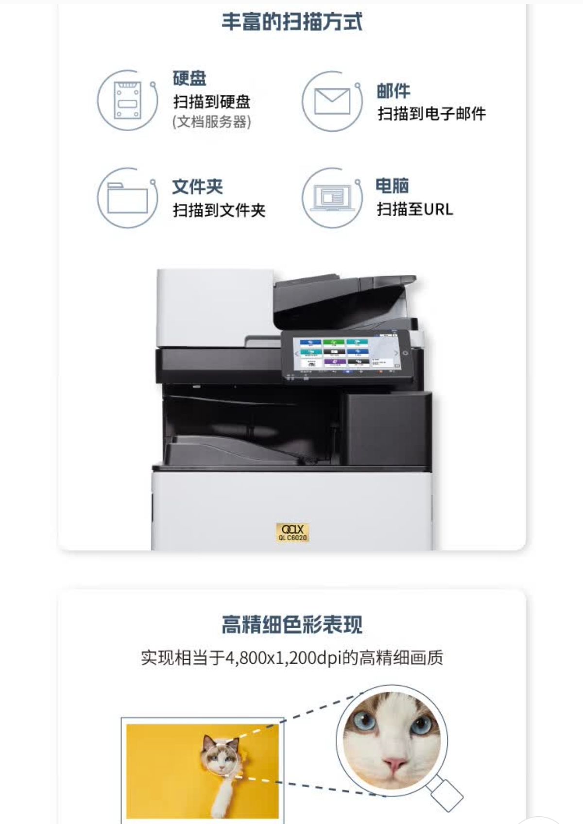 详情7.jpg